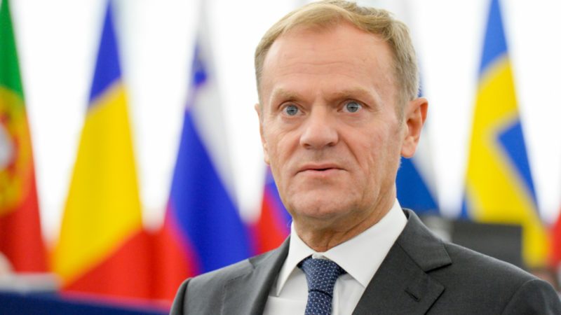 tusk.jpg