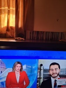 fake journalists