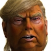 Delete Trum twitter account
